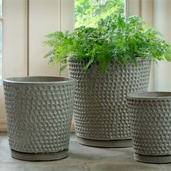 I O Coin Pot Sapphire