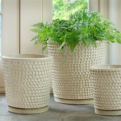 I O Coin Pot Cream