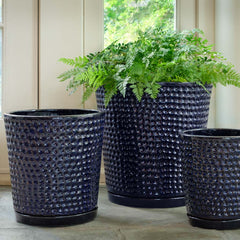 I O Coin Pot Sapphire