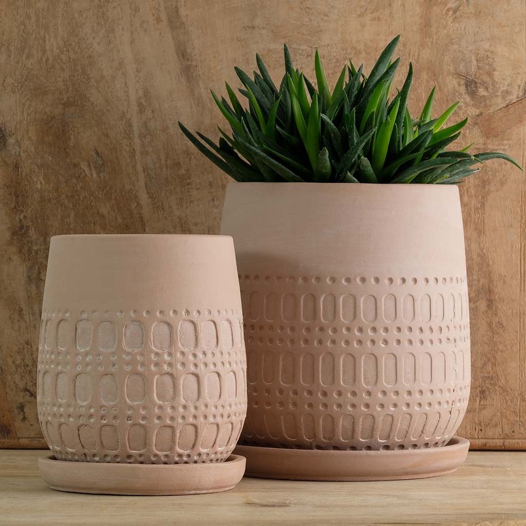 Mojave Planter Terra Cotta
