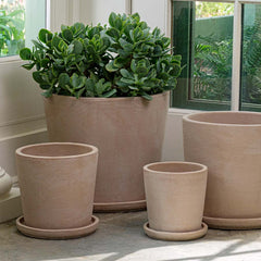 Maracay Planter - Carob - S/4