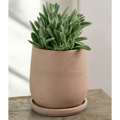 Aimee Planter - Shell - S/4