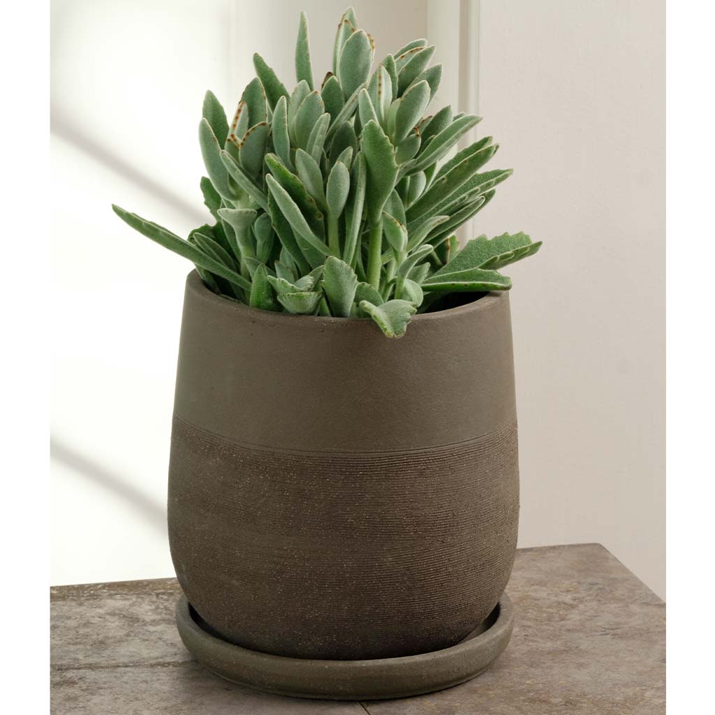 Aimee Planter - Carob - S/4