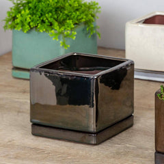 Campania I/O Series Cube Set of 3