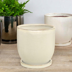 Campania I/O Series Cup Set of 6