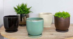 Campania I/O Series Cup Set of 6