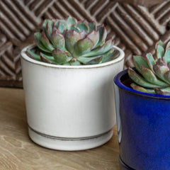 Campania I/O Series Planter - Set of 6