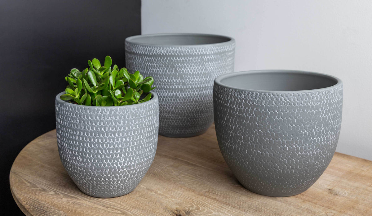 Campania Scalloped Tall Round Planter - Set of 3
