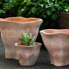 Campania Foxglove Planter  Terra Cotta