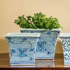 Campania Square Flared Planter - Blue and White Mix - Set of 6