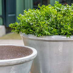 Photo of Campania Valette Planter - Pearl - Set of 4 - Marquis Gardens