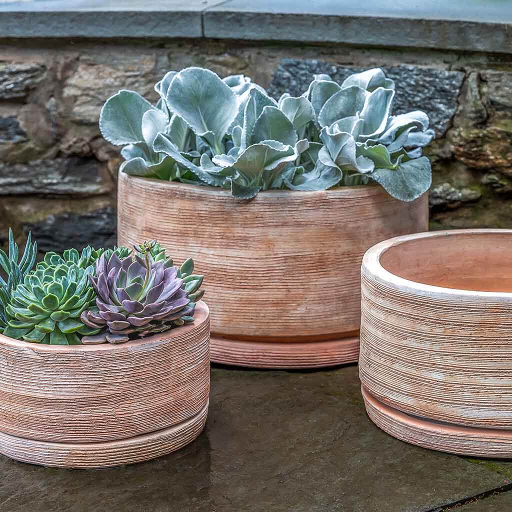 Campania Sgraffito Planter Set of 3