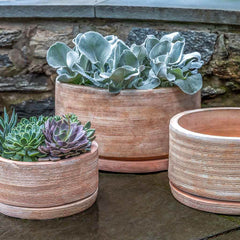 Campania Sgraffito Planter Set of 3