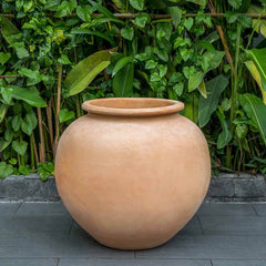 Campania De Vesian Jar - Terra Cotta
