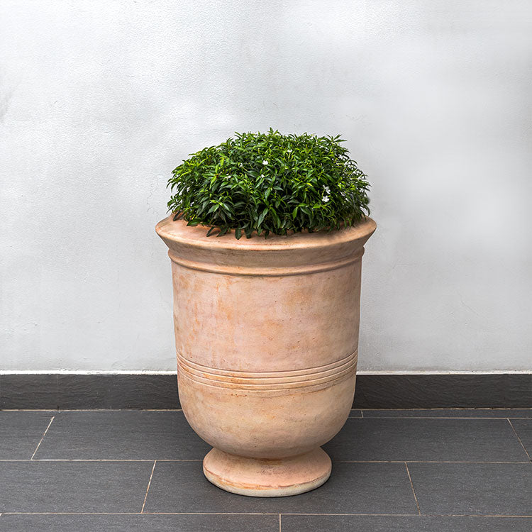 Photo of Campania Vaucluse Urn - Terra Cotta - Marquis Gardens