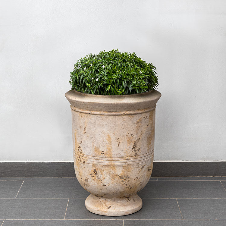 Photo of Campania Vaucluse Urn - Terra Cotta - Marquis Gardens