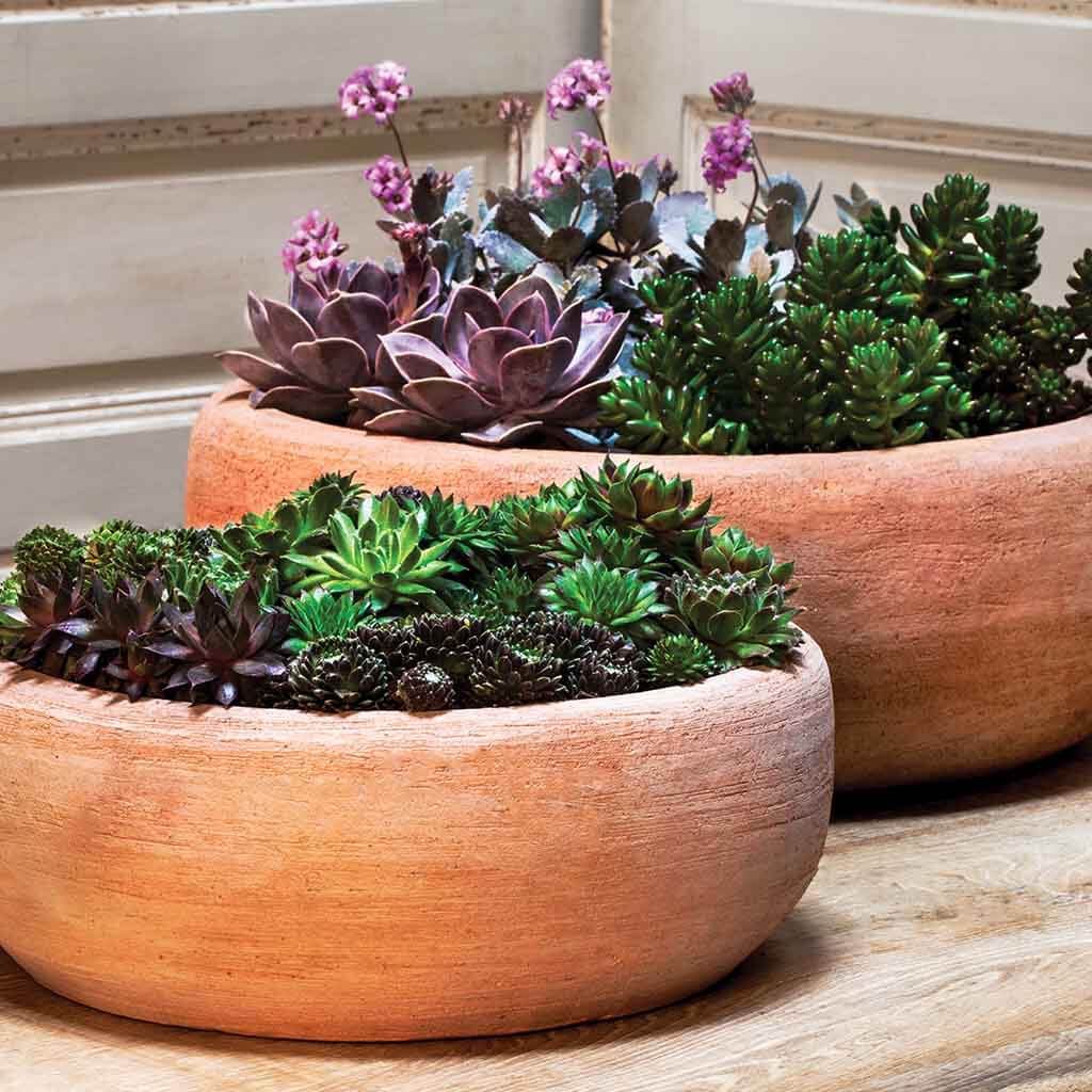 Campania Annalise Planter - Terra Nova - Set of 2