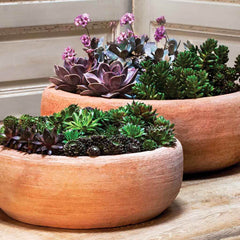 Campania Annalise Planter - Terra Nova - Set of 2