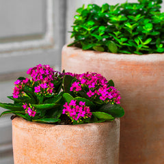 Photo of Campania Abrielle Planter - Terra Nova - Set of 2 - Marquis Gardens