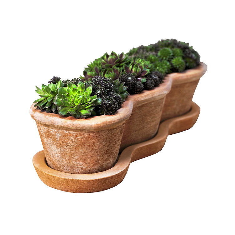 Photo of Campania Costa Planter - Terra Nova - Set of 3 - Marquis Gardens