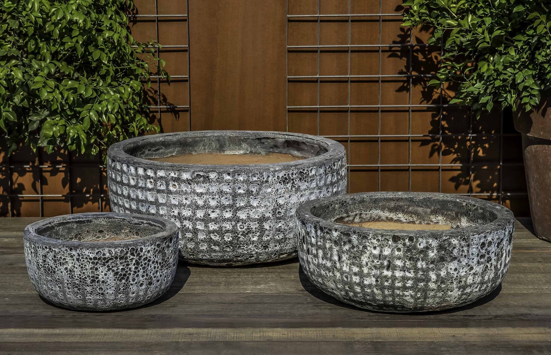 Antique Planters - Collection – Exclusively Campania USA