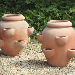 Campania Tascandi Strawberry Jar - Terra Cotta - Set of 2