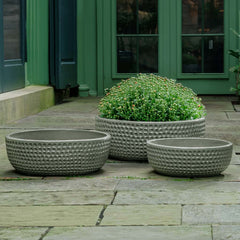 Campania Coin Bowl  Pewter Green