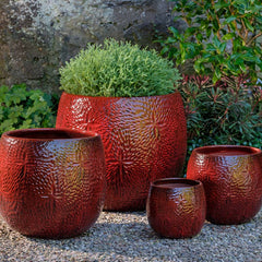 Campania Sand Dollar Tall Planter Set of 2