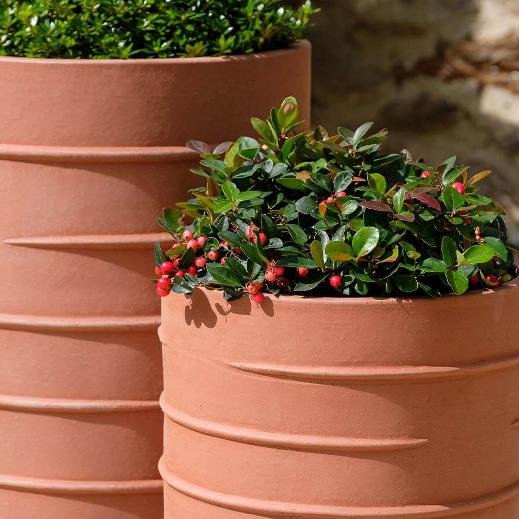 Photo of Campania Logis Tall Planter - Set of 2 - Exclusively Campania