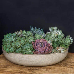 Campania Playa Bowl - Set of 4