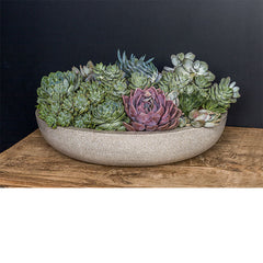 Campania Playa Bowl - Set of 4
