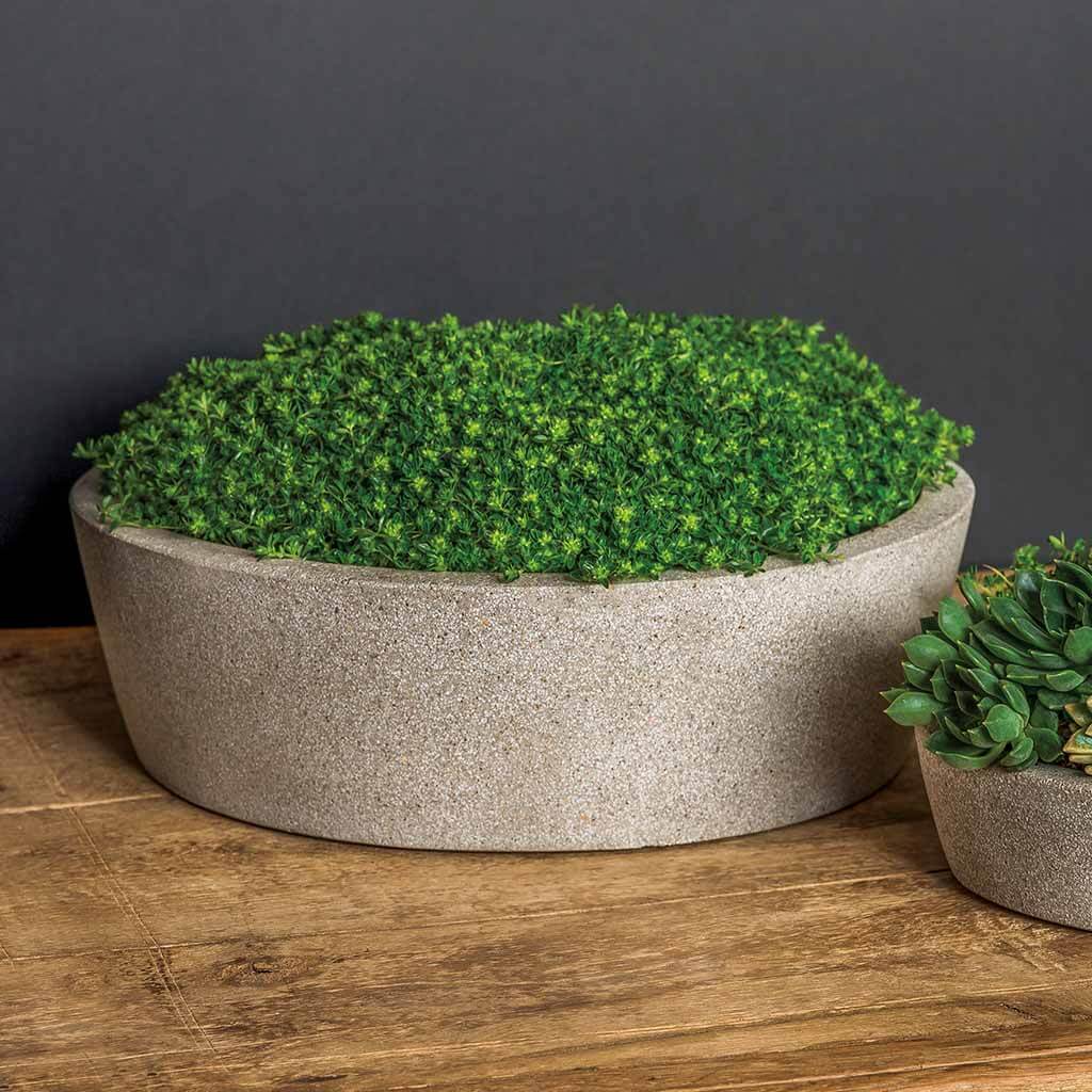 Campania Playa Low Tapered Round - Set of 8