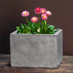 Campania Geo Oval Planter - Fiber Cement - Set of 4