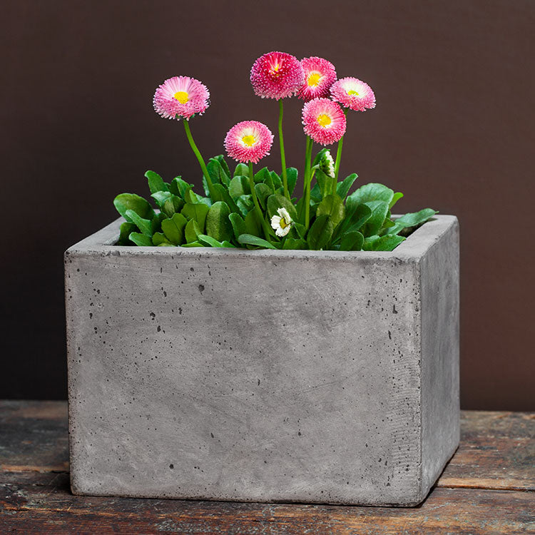 Campania Geo Oval Planter - Fiber Cement - Set of 4