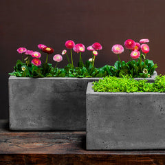 Campania Geo Oval Planter - Fiber Cement - Set of 4