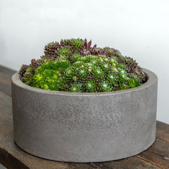 Campania Geo Oval Planter - Fiber Cement - Set of 4