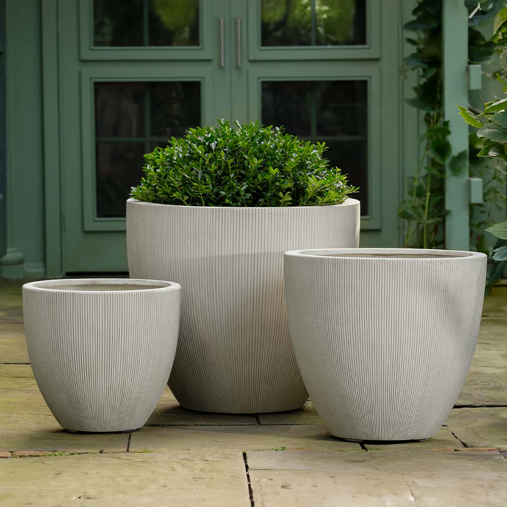 Campania Airy Planter