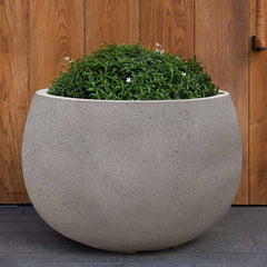 Campania Norfolk Planter