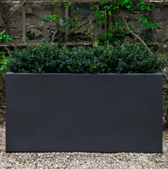 Campania Sandal Planters