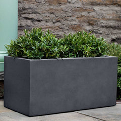 Campania Sandal Planters