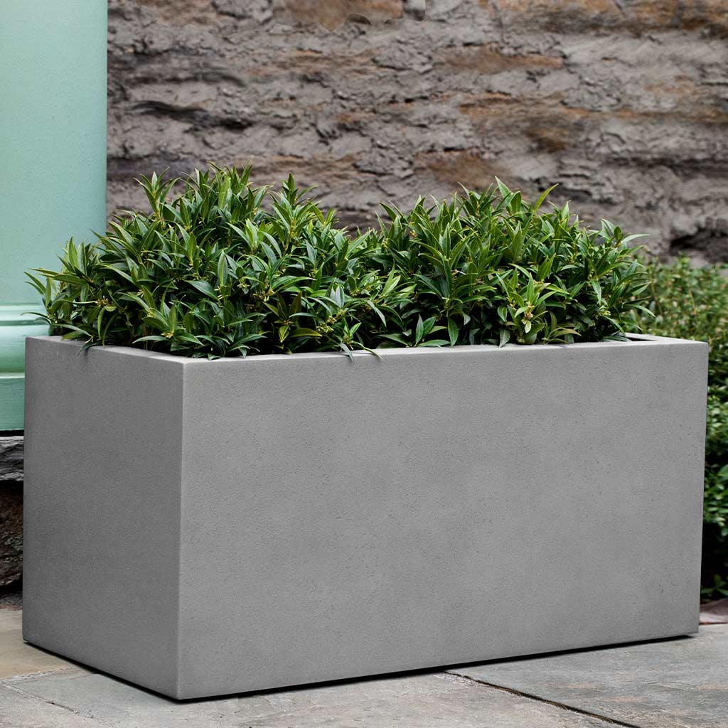 Campania Sandal Planters