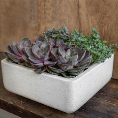 Campania Geo Round Footed Planter - Set of 4