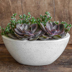 Campania Geo Round Footed Planter - Set of 4