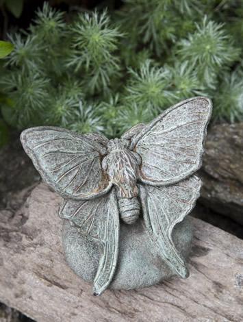 Photo of Campania Lunar Moth - Marquis Gardens