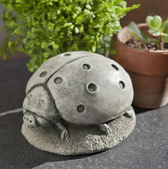 Photo of Campania Ladybug - Marquis Gardens