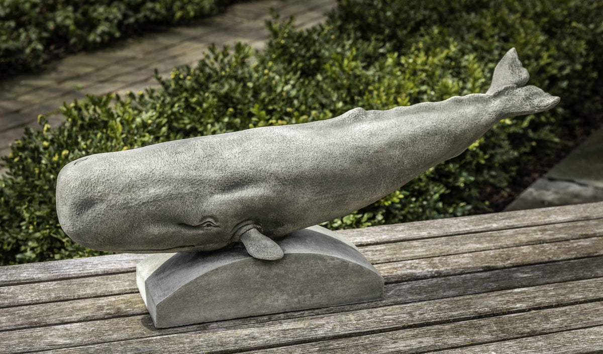 Campania Sperm Whale