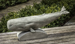 Campania Sperm Whale