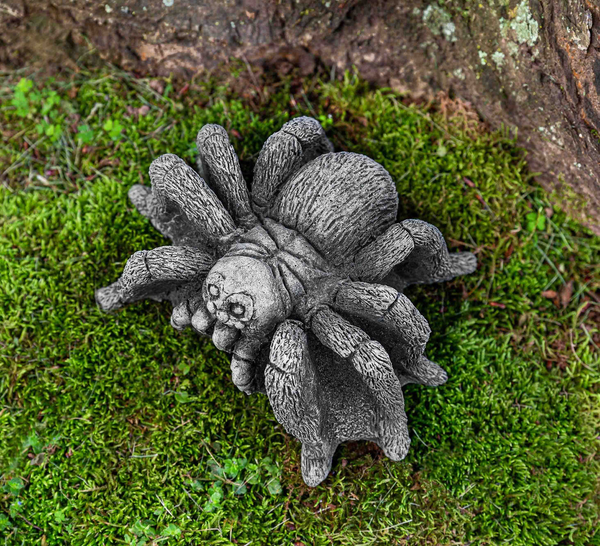 Campania Tarantula
