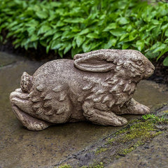 Campania Meadow Rabbit