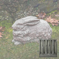 Campania Flemish Hare